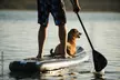 Plymouth Harbor Stand-Up Paddleboard Rental - Second Medium