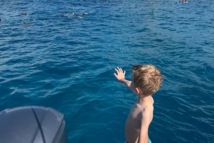 Turtle Canyon Snorkel in Waikiki, Oahu Semi Private