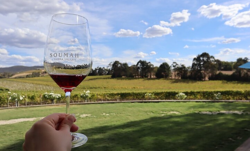 Image 5: Small Group Yarra Valley: Redwoods Forest & Premium Wine Tour