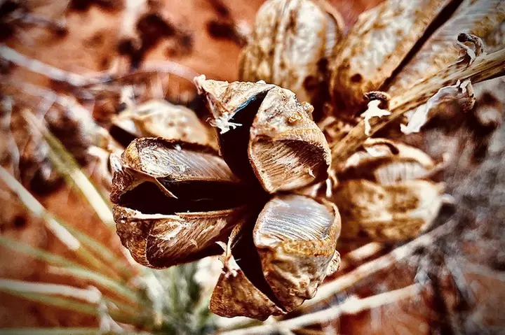 Monument Valley Extended Backcountry Tour