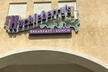 5% Cash Back at Huckleberry's - Second Medium