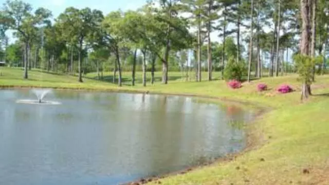 Online Booking - Round of Golf at CAM2 Golf Club - Primary Image
