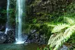 Glow Worms - Nocturnal Rainforest/Waterfall Adventure - Image 7
