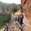 Image 4: Blue Mountains Day Tour with Wildlife, Walks and Scenic World