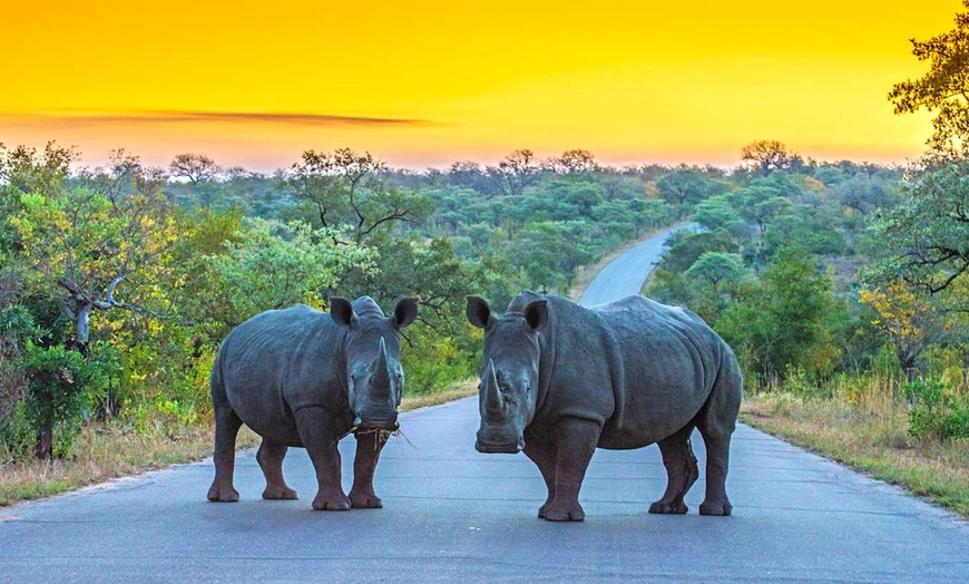Image 2: ✈ AFRIQUE DU SUD | De Cap Town à Johannesburg - Sur les routes de l...