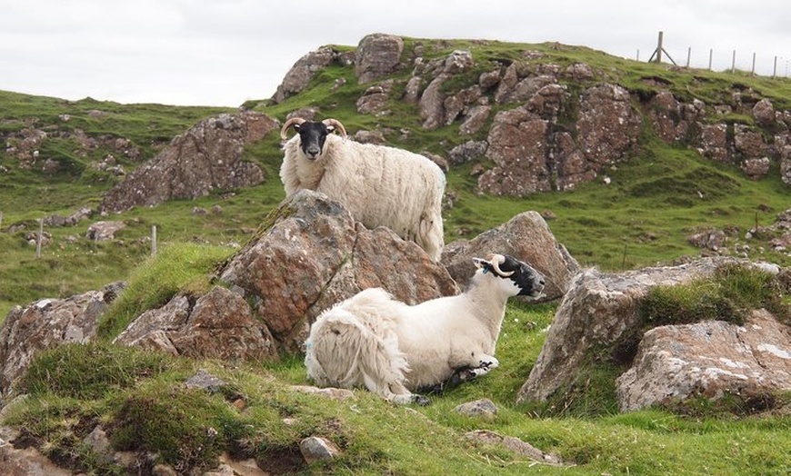 Image 7: 1 Day Tour from Inverness - Isle of Skye, Fairy Pools, and Eilean D...