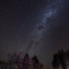 Image 6: Uluru BBQ Dinner Under the Stars