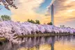 Washington DC Day Tour from New York City - Second Medium