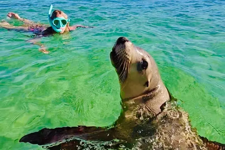 Turquoise Coast and Pinnacles Desert Private day Tour from Perth - Primary Image