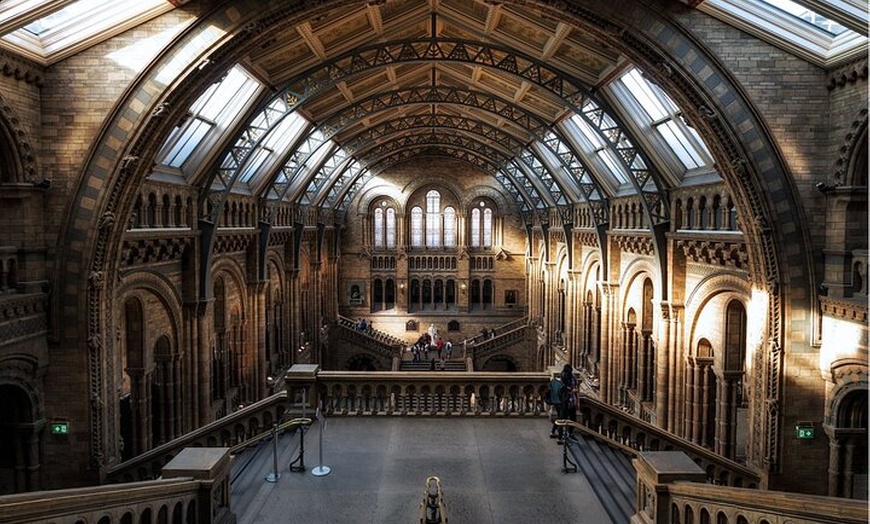 Image 6: Natural History Museum London Guaranteed Free Entry & Audio Tour
