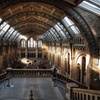 Image 6: Natural History Museum London Guaranteed Free Entry & Audio Tour