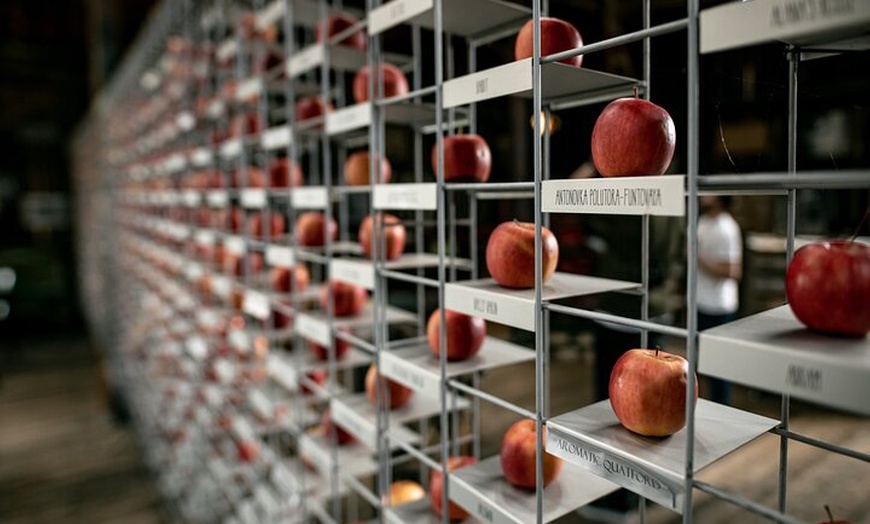Image 3: Huon Harvest (wine, cider & local produce)