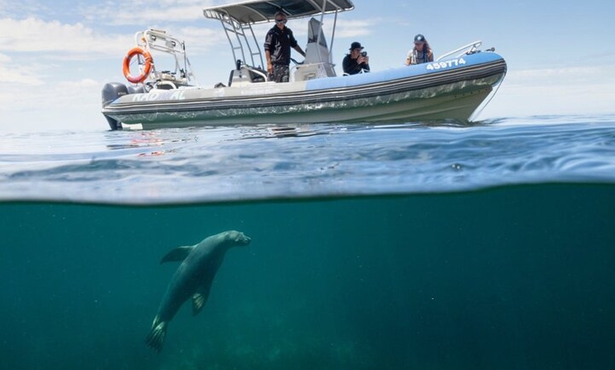 Image 4: Kangaroo Island Ultimate Adventure Tour departing Kingscote