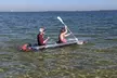 Dolphin and Manatee Clear Kayak or Paddleboard Tour - Second Medium
