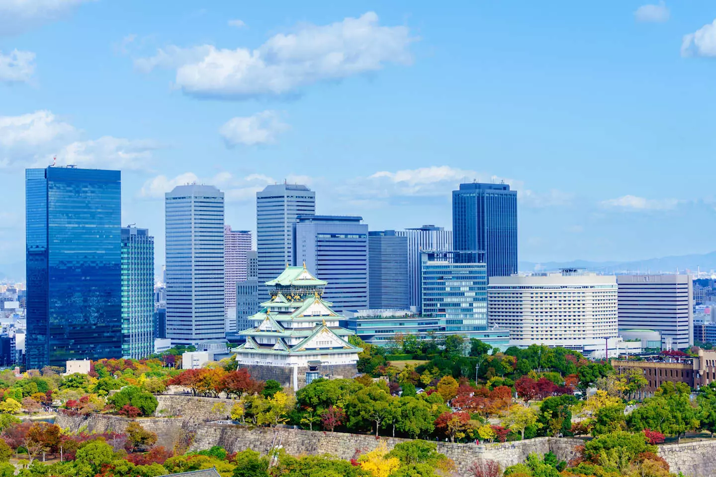 ✈ GIAPPONE | Da Tokyo a Osaka - Paradiso Giapponese: Tokyo, Kyoto, ...