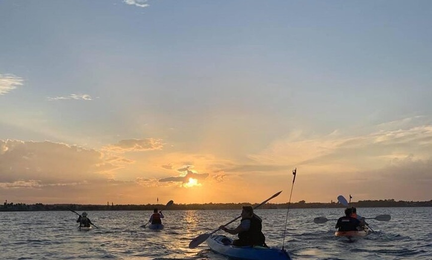 Image 3: Raby Bay Wildlife Kayak Tour