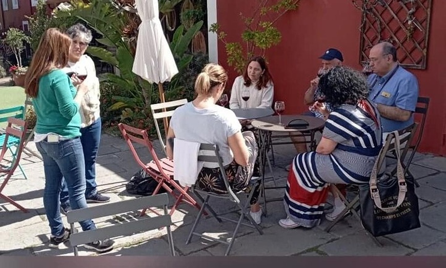 Image 12: Visita a la Bodega, Museo del Vino y Cata en Gran Canaria