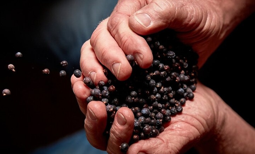 Image 4: Discover Bellarine Wine, Cider and Craft Beer with Private Bus