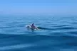 Guided Two hours Jetski Coastal Tour - Second Medium