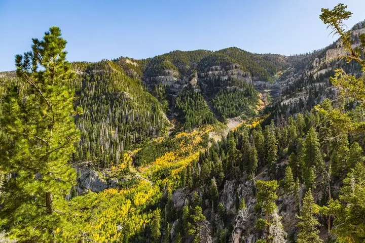 Mount Charleston Tour from Las Vegas