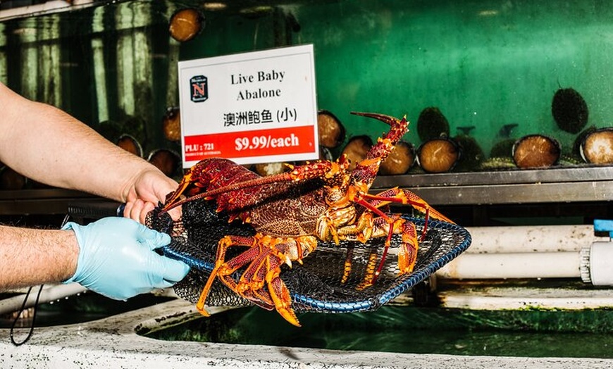 Image 8: Sydney Fish Market Discovery Tour
