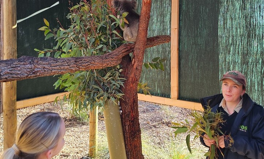 Image 10: Small-Group Murray River Adventure - Paddle Steamer & Wildlife