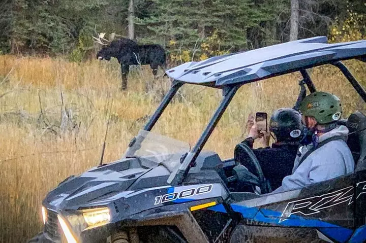 Woodland Park: 2 Hour Guided Wildlife Sunset UTV Tour - You Drive