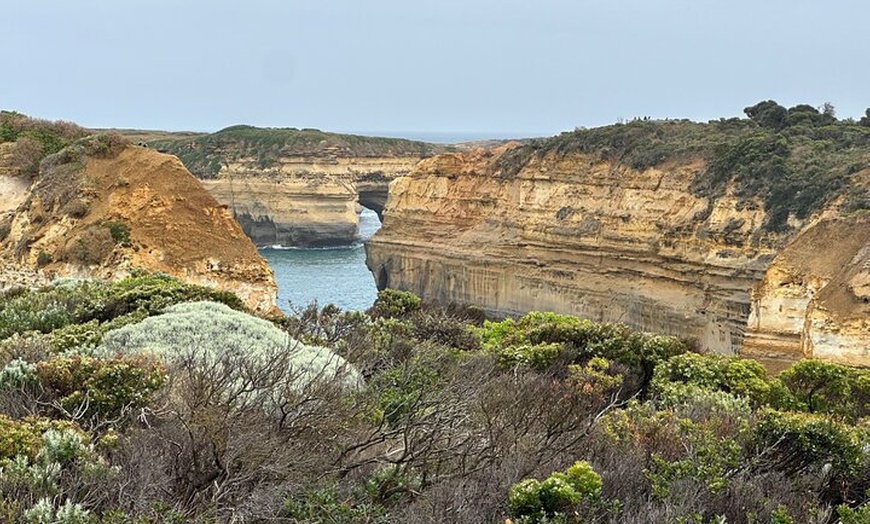 Image 9: Great Ocean Road 12 apostles PRIVATE Luxury Tour 5 PAX all incl.