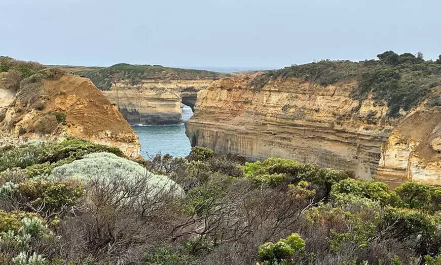 Image 9: Great Ocean Road 12 apostles PRIVATE Luxury Tour Reverse all incl