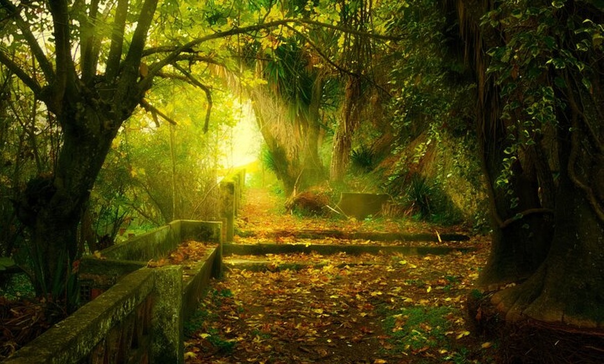 Image 1: Visita al Bosque Encantado de Córdoba en Hornachuelos