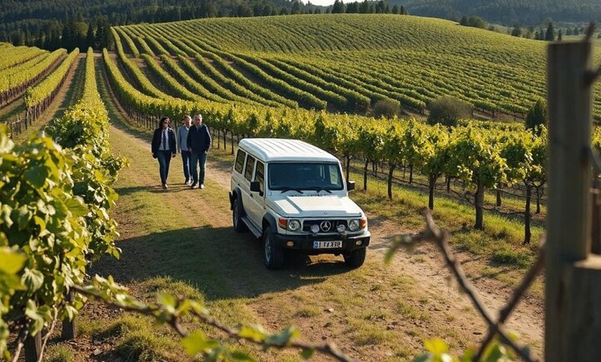 Image 5: 4 Hours Perth City Highlights with Private Chauffeured Tour