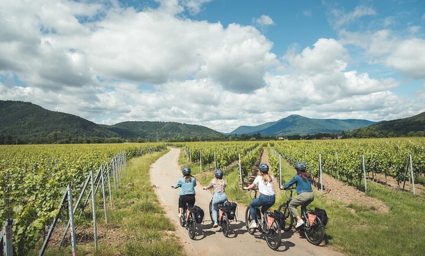 Image 6: Balade à vélo sur la Route des Vins depuis Sélestat