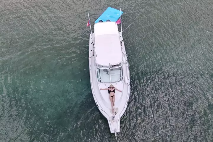 Full Charter All Inclusive for Icacos and Palomino - Primary Image