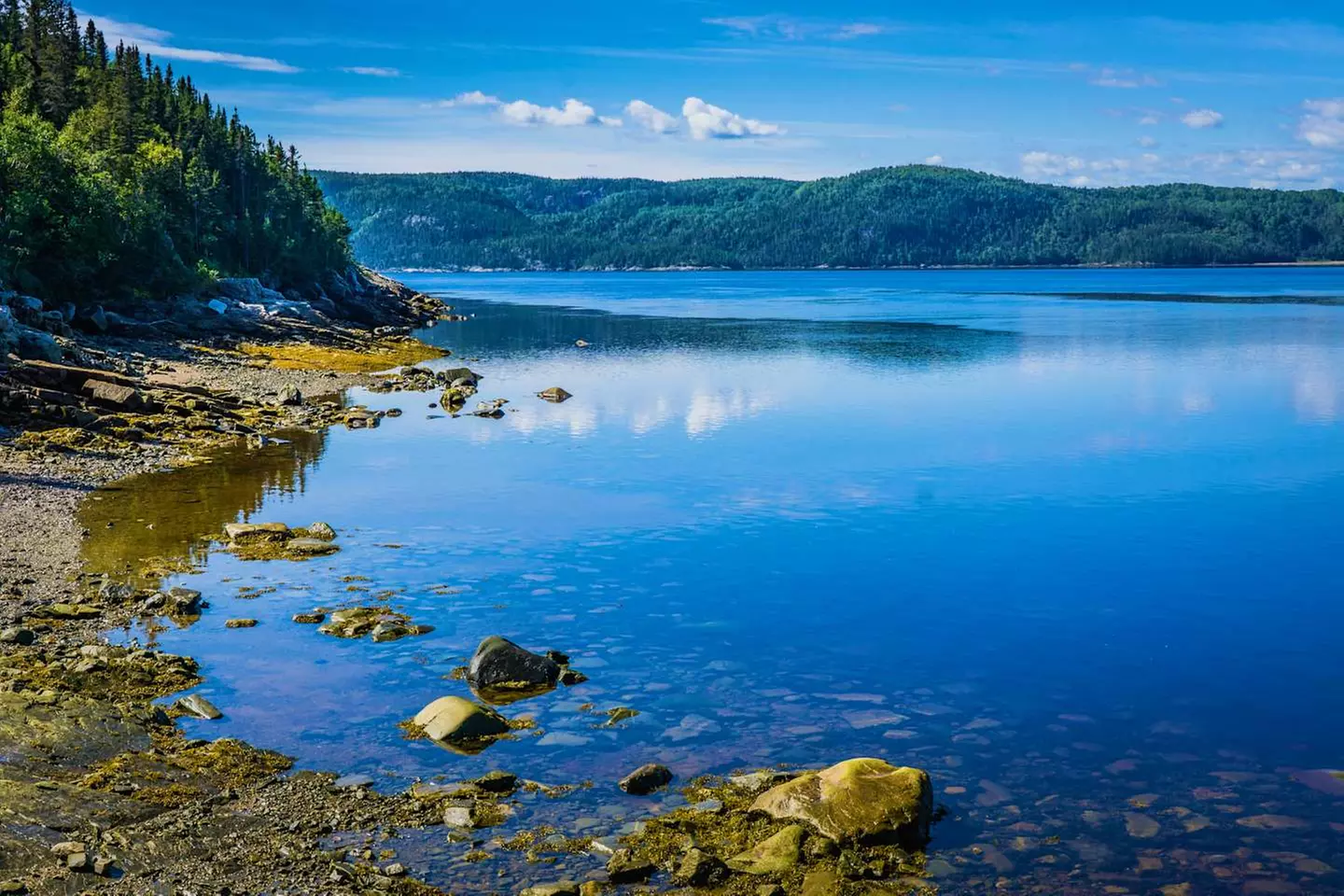 ✈ QUEBEC | Montreal - Il Québec al volante 3*, 12 notti - Viaggio o...