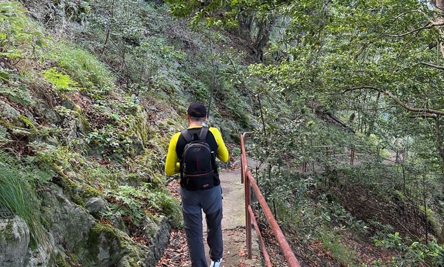 Image 27: Tour de Senderismo en Anaga : Ruta del Taborno con Vistas al Océano...