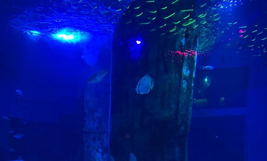 Image 26: Luxury Private Tour in London