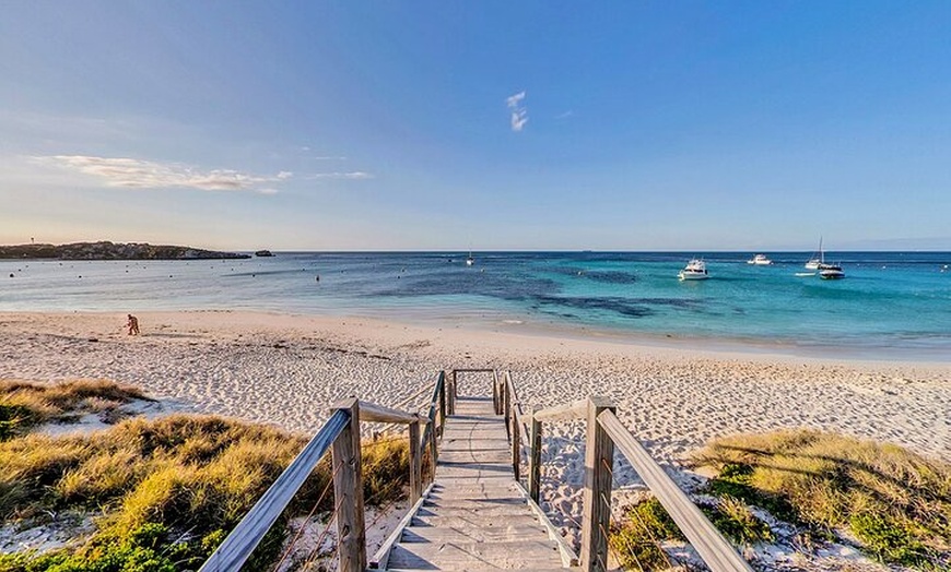 Image 6: Discover Rottnest with Ferry & Bus Tour