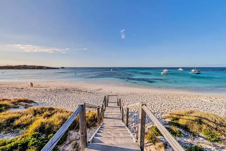 Discover Rottnest with Ferry & Bus Tour