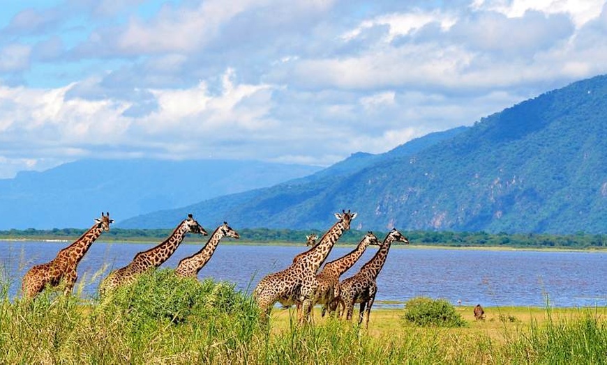 Image 3: ✈ TANZANIE | Du Kilimanjaro à Nairobi - Safaris en Afrique entre la...