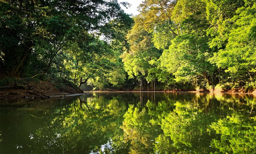 Image 16: ✈ COSTA RICA | San José - Fuga verde in Costa Rica - Viaggio on the...