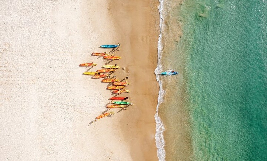 Image 3: Byron Bay Discovery Day from Gold Coast