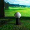 Image 2: $40 For 1 Hour Of Simulated Golf (Reg $80)