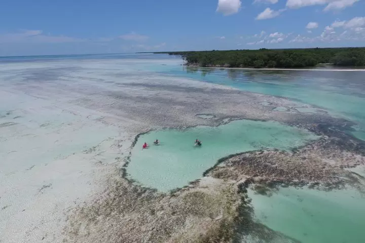 Key West Safari Eco Sandbar Tour Adventure with Snorkeling