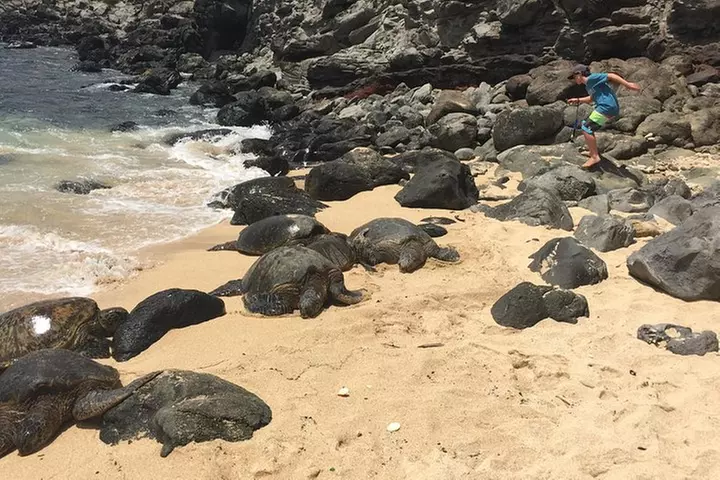 Maui Tour : Road to Hana Day Trip from Lahaina with Pick-up