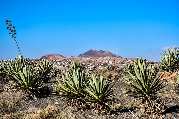 Buggy Fuerteventura Excursiones Todo Terreno