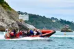 Torquay Coastal RIB Seafari - Second Medium