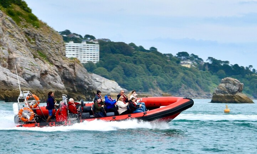 Image 6: Torquay Coastal RIB Seafari