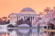 City Snapshot Tour with 10 Top Memorials, Optional Entry Tickets - Second Medium