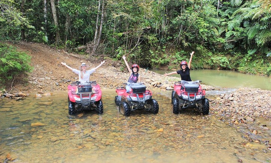 Image 6: 1 Hour Rainforest Quad Bike Tour in Kuranda