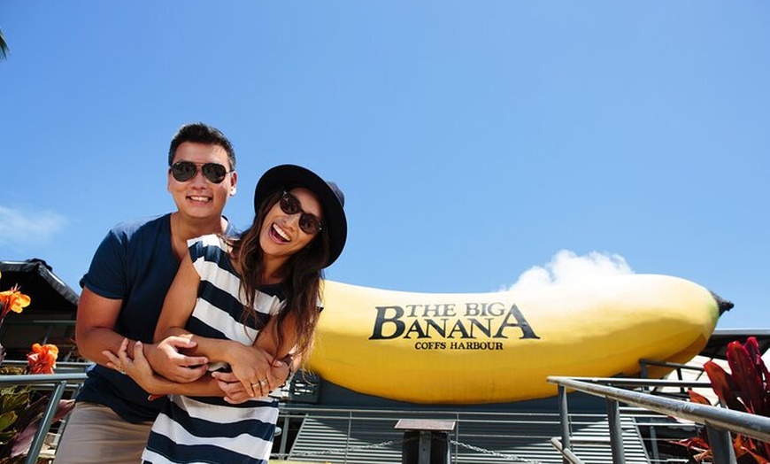 Image 2: Sydney to Byron Bay - Pacific Coast Road Trip